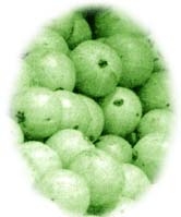 Amalaki