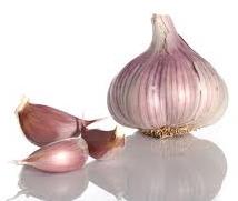 garlic