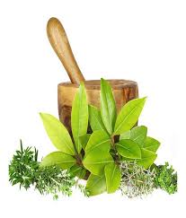 Ayurvedic Herbology