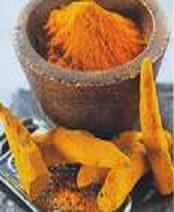 herb Turmeric