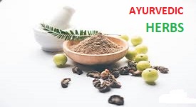 Ayurveda Herology